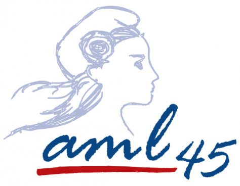 Logo AML45